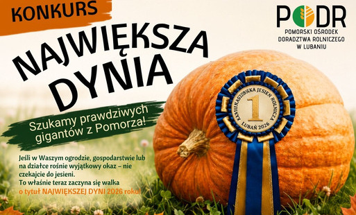 Zdjęcie do Konkurs "Największa Dynia"