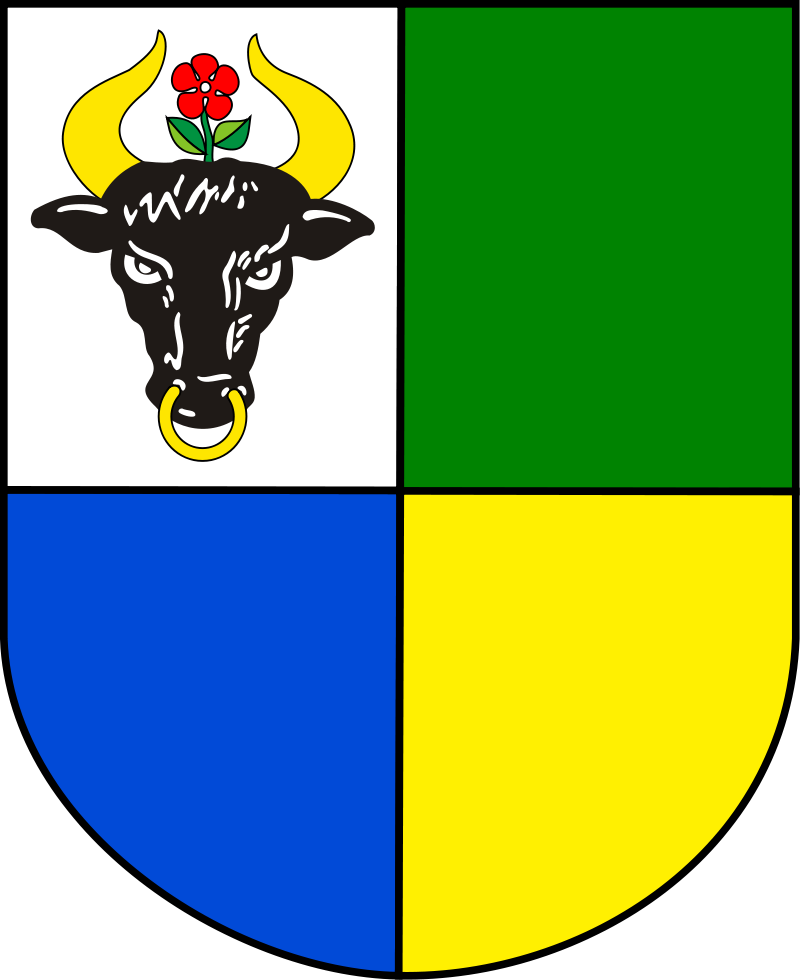 Herb Gminy Chojnice w kształcie tarczy podzielonej na cztery części, w górnej lewej części koloru białego umieszczona głowa tura, górna prawa część koloru zielonego, dolna lewa częśc koloru niebieskiego, dolna prawa część koloru żółtego